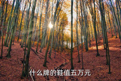 什么東西值五萬(wàn)人民幣，有什么錢(qián)是有5萬(wàn)的