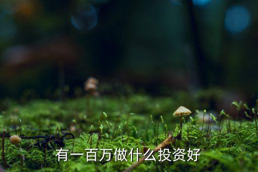 有一百萬做什么投資好