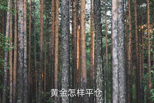 黃金怎樣平倉