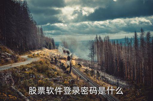 股票軟件登錄密碼是什么