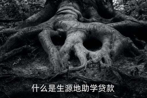 什么是生源地助學(xué)貸款