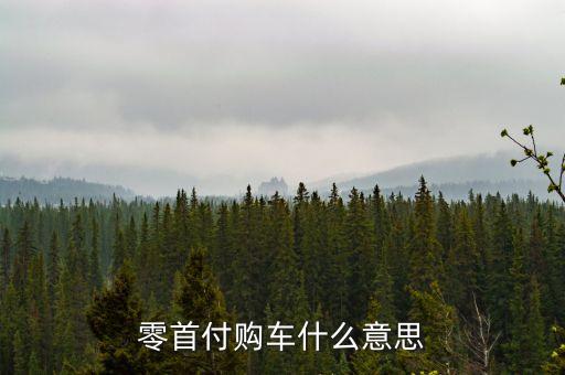 零首付購車什么意思