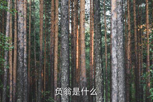 負(fù)翁是什么