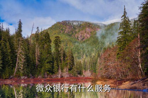 微眾銀行有什么服務(wù)