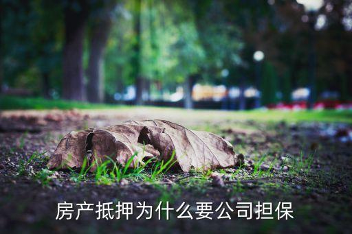 房貸為什么有擔(dān)保公司，房產(chǎn)抵押為什么要公司擔(dān)保