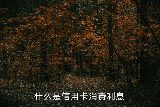 信用卡的利息是什么，信用卡利息是怎么算的