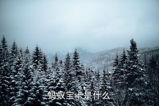什么叫寶卡，什么是通寶卡