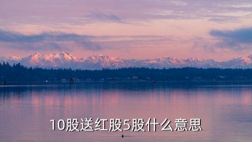 10股送紅股5股什么意思