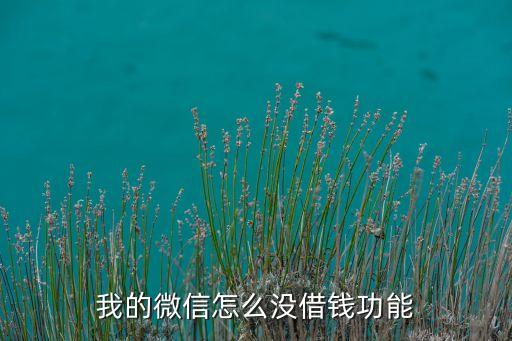 微信上為什么沒有借錢，我微信為什么沒有借錢功能