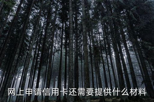 網(wǎng)上申請信用卡還需要提供什么材料