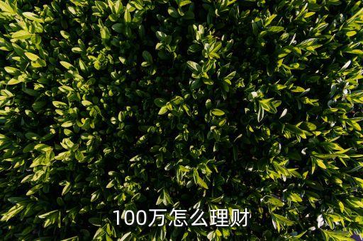 100萬怎么理財(cái)