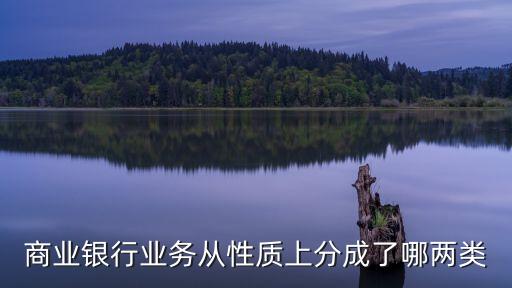 銀行可分兩大類是什么，商業(yè)銀行業(yè)務(wù)從性質(zhì)上分成了哪兩類