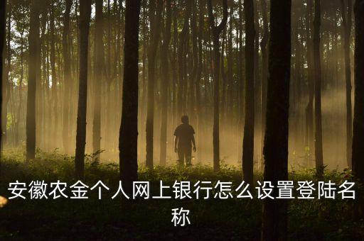 安徽農(nóng)金個人網(wǎng)上銀行怎么設置登陸名稱