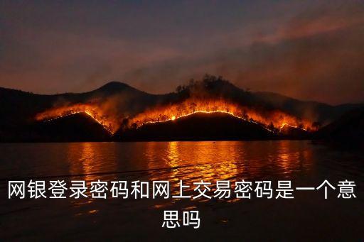 網銀登錄密碼和網上交易密碼是一個意思嗎