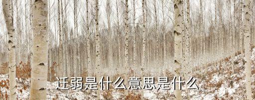遷弱是什么意思是什么