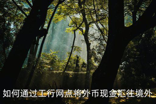 如何通過工行網(wǎng)點(diǎn)將外幣現(xiàn)金匯往境外