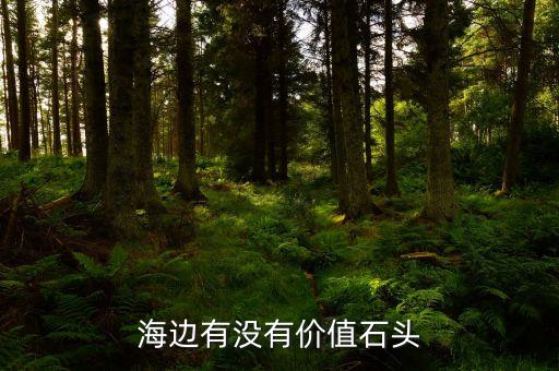 海邊有沒有價值石頭