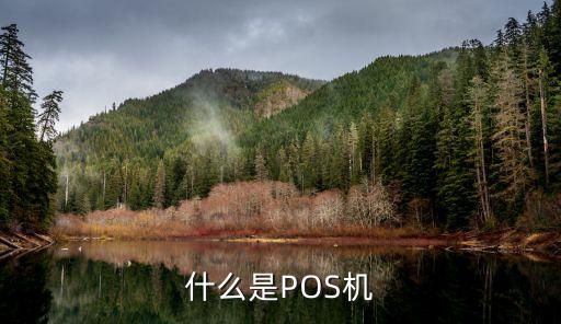 什么是POS機
