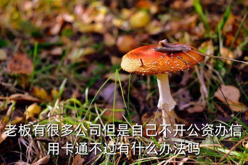 有什么辦法可以信用卡通不過(guò)，老板有很多公司但是自己不開(kāi)公資辦信用卡通不過(guò)有什么辦法嗎
