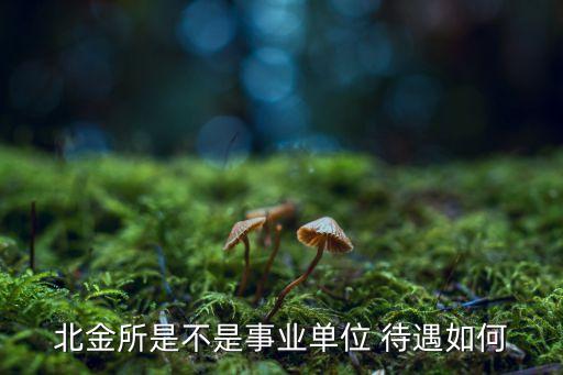 北金所是什么市場(chǎng)，北金所是不是事業(yè)單位 待遇如何