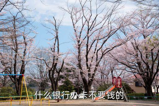 什么銀行辦卡不要錢的