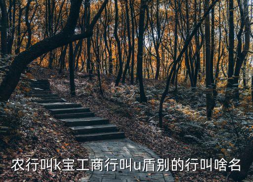 農(nóng)行叫k寶工商叫什么用，農(nóng)業(yè)銀行的K寶有什么用啊是怎么使用的