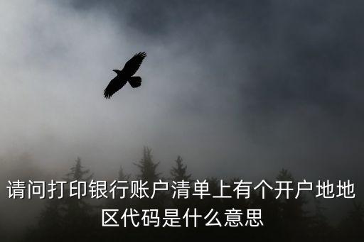 開(kāi)戶銀行省份什么意思，請(qǐng)問(wèn)打印銀行賬戶清單上有個(gè)開(kāi)戶地地區(qū)代碼是什么意思