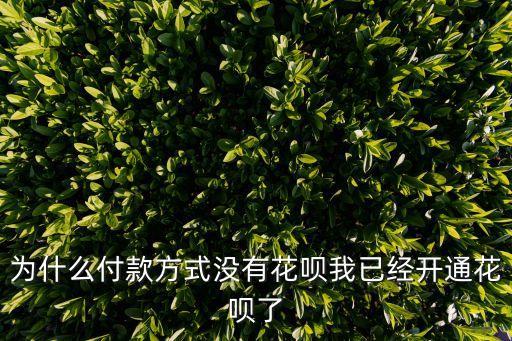 為什么付款方式?jīng)]有花唄我已經(jīng)開通花唄了