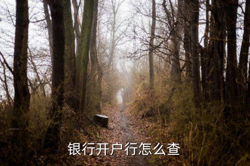 銀行開戶行怎么查
