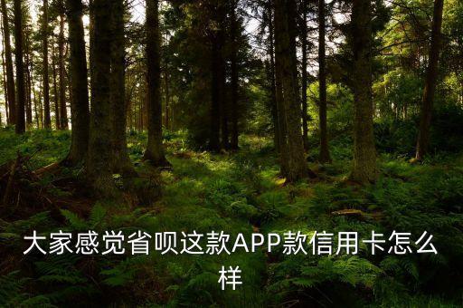 大家感覺省唄這款A(yù)PP款信用卡怎么樣