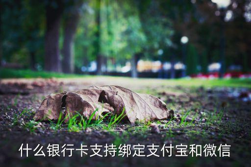 什么銀行卡支持綁定支付寶和微信
