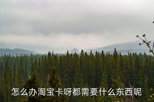 怎么辦淘寶卡呀都需要什么東西呢
