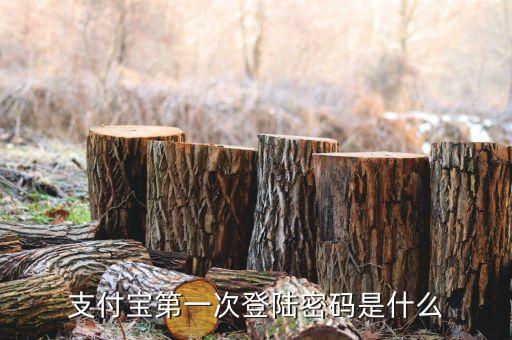 支付寶第一次登陸密碼是什么