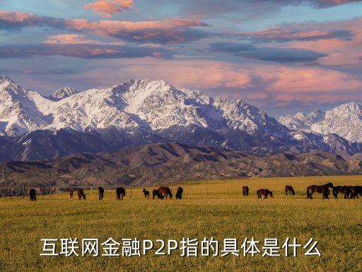 互聯(lián)網(wǎng)金融P2P指的具體是什么
