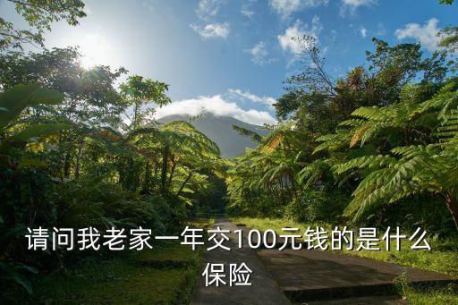 請問我老家一年交100元錢的是什么保險