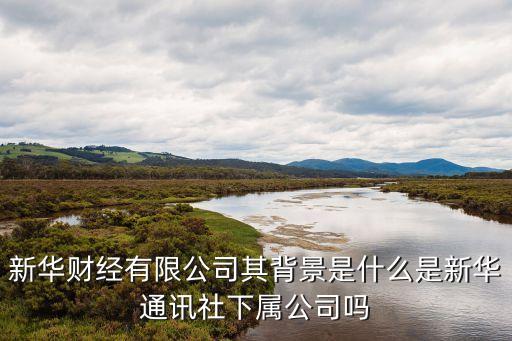 上海新華財富做什么的，新華財富計劃師其甚么作用
