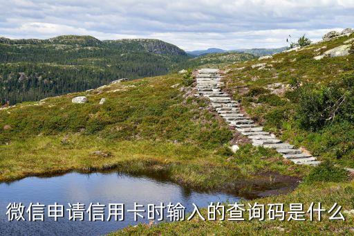 信用卡的查詢碼是什么情況，農(nóng)業(yè)銀行信用卡查詢碼是指什么