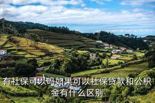 有社?？梢詥崛绻梢陨绫ＹJ款和公積金有什么區(qū)別