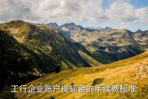 工行企業(yè)賬戶提現(xiàn)金的手續(xù)費標準