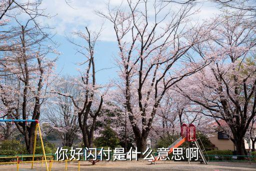 你好閃付是什么意思啊