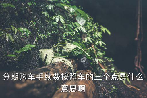 分期購車手續(xù)費按照車的三個點是什么意思啊