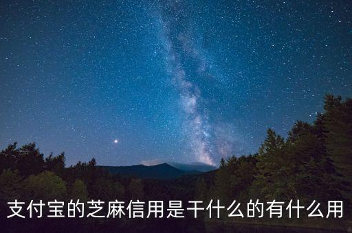支付寶的芝麻信用是干什么的有什么用