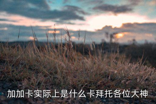 加加卡實(shí)際上是什么卡拜托各位大神