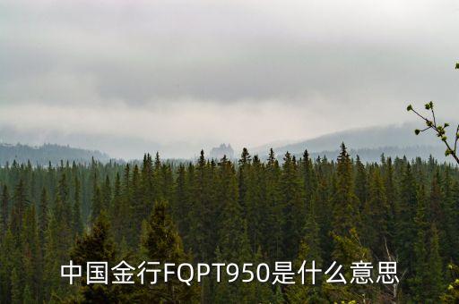 中國金行FQPT950是什么意思