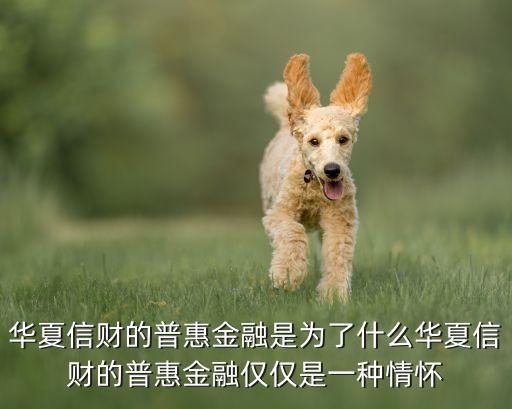華夏信財?shù)钠栈萁鹑谑菫榱耸裁慈A夏信財?shù)钠栈萁鹑趦H僅是一種情懷