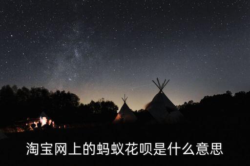 淘寶網(wǎng)上的螞蟻花唄是什么意思