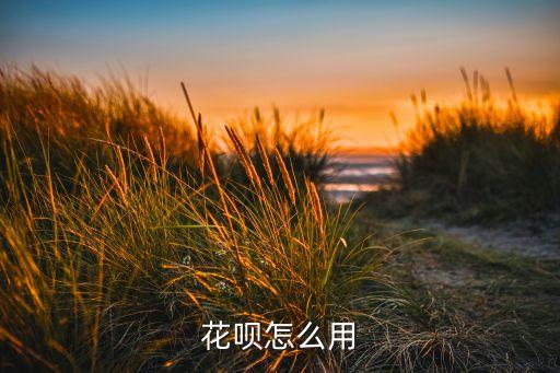 花唄怎么用