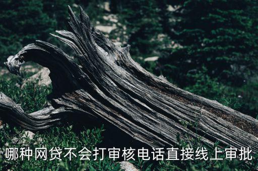 哪種網(wǎng)貸不會打?qū)徍穗娫捴苯泳€上審批