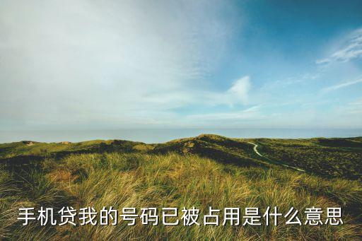 手機(jī)貸我的號(hào)碼已被占用是什么意思