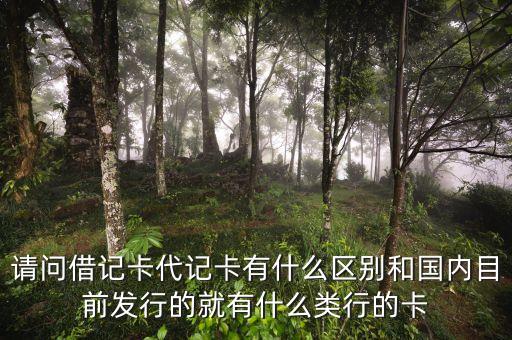 代購金卡什么區(qū)別嗎，游客可以在美國costo買東西嗎